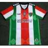 Maillot de Foot Club Deportivo Palestino Domicile 2021